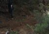 Amenazan de muerte a madre buscadora tras hallazgo de 11 cuerpos en Delicias 3