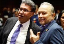 Pide diputado Castro Trenti mantener el IVA al 8%