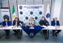 Asesinó a su compañera y la desmembró inspirado en una serie televisiva