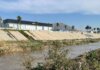 Retiro de vegetación en canalización del Río Tijuana cuesta 1.5 mdp por kilómetro: Seproa