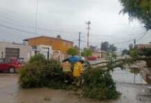 Refuerza XXV Ayuntamiento de Tijuana monitoreo permanente y seguimiento a reportes de incidencias por lluvias