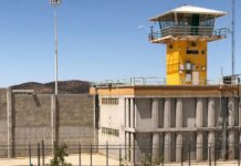 Investigan posible red de corrupción tras decomiso en penal El Hongo
